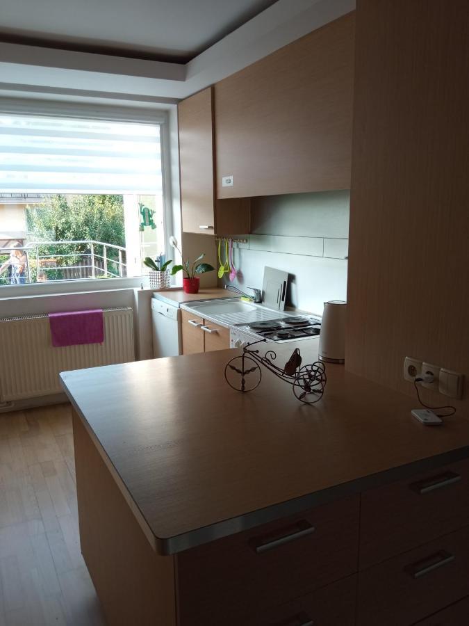 Appartement Przy Jeziorze à Iława Extérieur photo