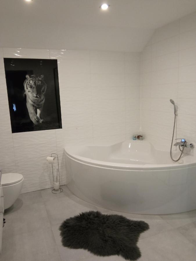 Appartement Przy Jeziorze à Iława Extérieur photo
